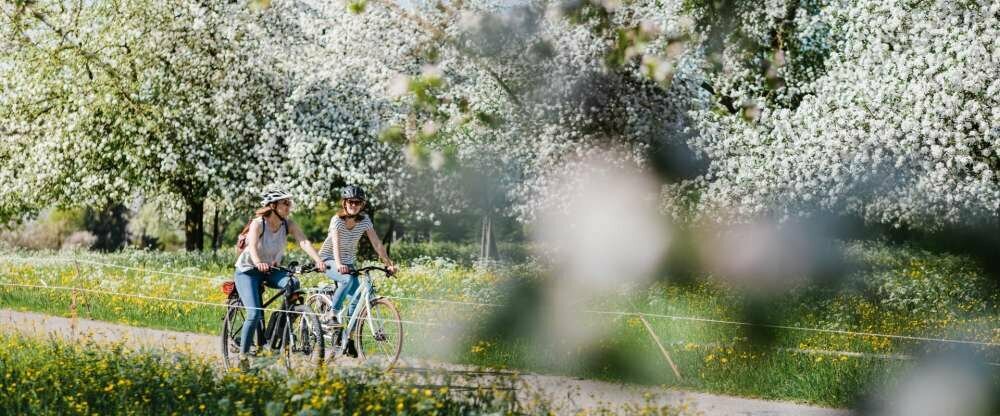 Restaurant-Hotel de Charme Römerhof - Umgebung