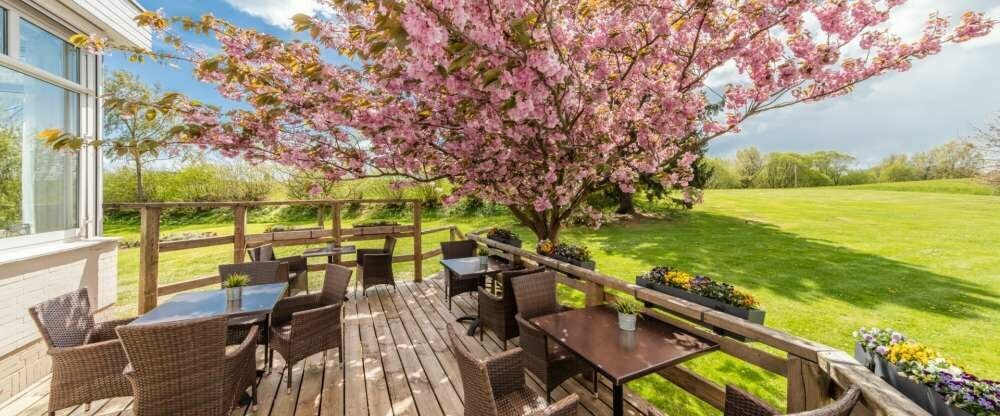 unter dem Kirschbaum schlemmen