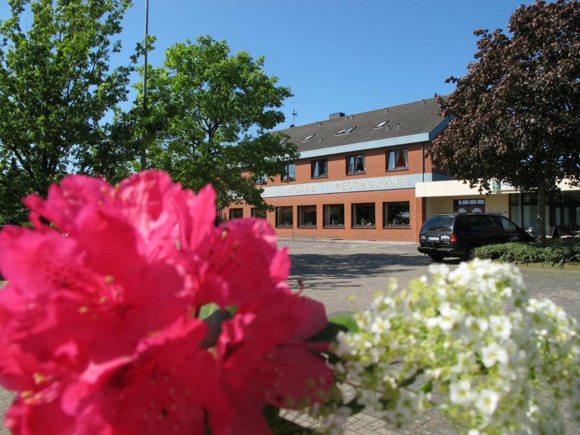 One-Night-Stand im Wasserbett mit einem Rosenblütenbad für Verliebte