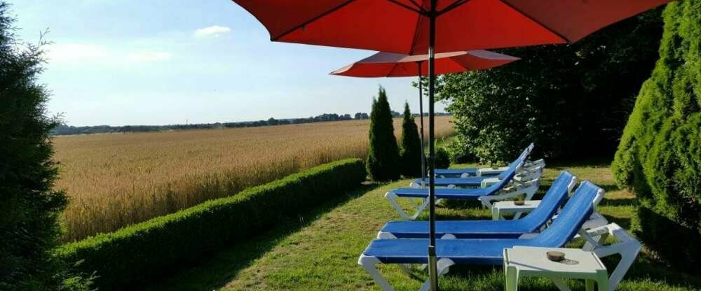 Revital & Wohlfühl Hotel Steimker Hof - Terrasse/Außenbereich