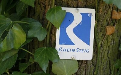 Rheinsteig Wandern