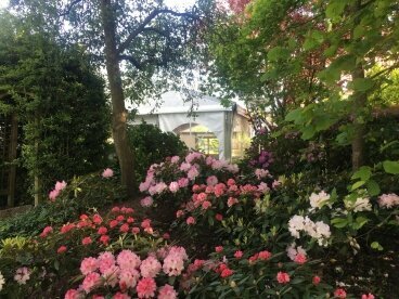 Rhododendrongarten, Quelle: NordWest-Hotel "Amsterdam"