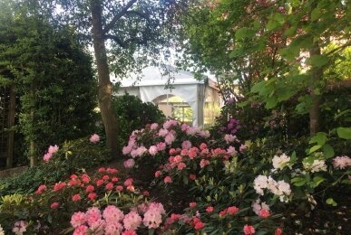 Rhododendrongarten, Quelle: NordWest-Hotel "Amsterdam"