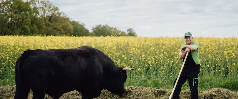 Ringhotel Forellenhof Walsrode - Sonstiges