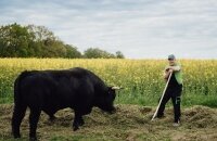 Ringhotel Forellenhof Walsrode - Sonstiges