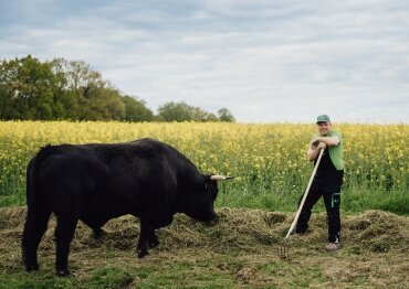 Array, Quelle: Ringhotel Forellenhof Walsrode