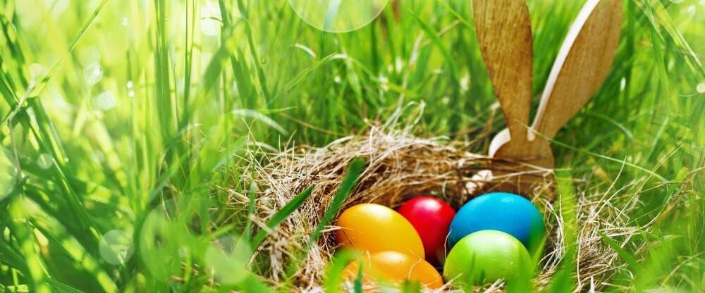 Ringhotel Forellenhof Walsrode - Sonstiges