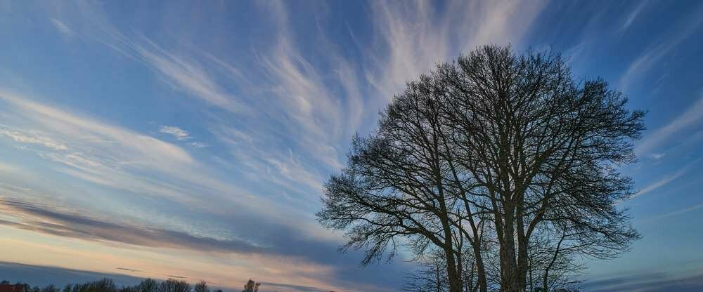 Ringhotel Forellenhof Walsrode - Umgebung