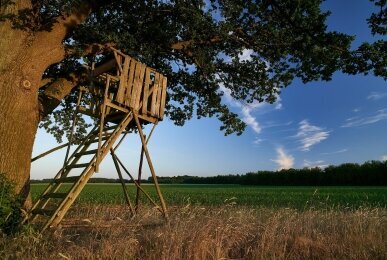 Array, Quelle: Ringhotel Forellenhof Walsrode