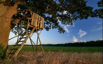 Ringhotel Forellenhof Walsrode - Umgebung