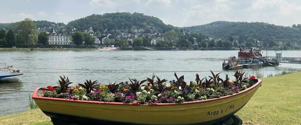 Ringhotel Haus Oberwinter - Umgebung