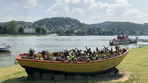 Ringhotel Haus Oberwinter - Umgebung