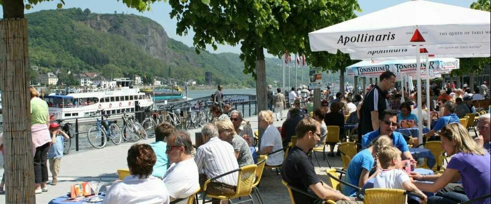 Ringhotel Haus Oberwinter - Umgebung