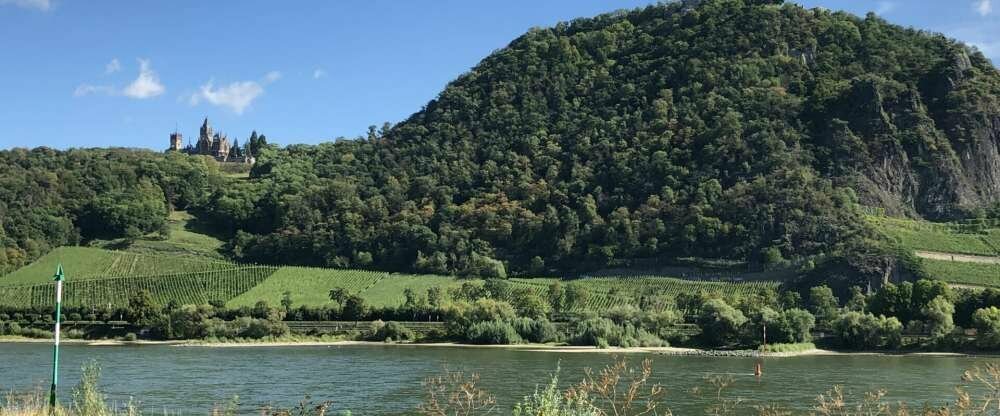 Ringhotel Haus Oberwinter - Umgebung