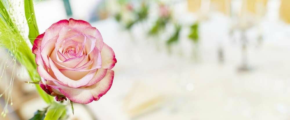 Ringhotel Katharinen Hof - Hotel-Innenansicht