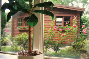 Ringhotel Parkhotel Witten - Wellnessbereich