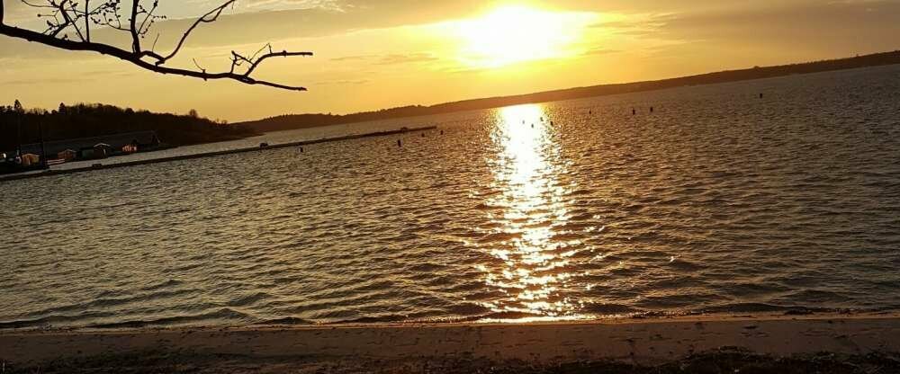 Ringhotel Villa Margarete - Umgebung