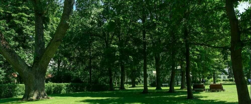 Ringhotel VITALHOTEL ambiente - Terrasse/Außenbereich