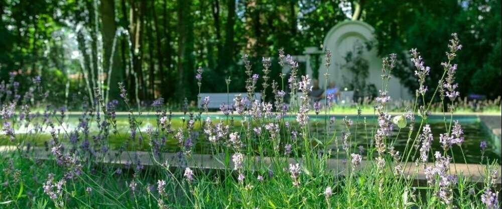Ringhotel VITALHOTEL ambiente - Terrasse/Außenbereich