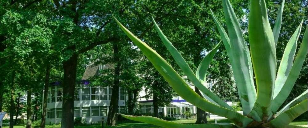 Ringhotel VITALHOTEL ambiente - Terrasse/Außenbereich