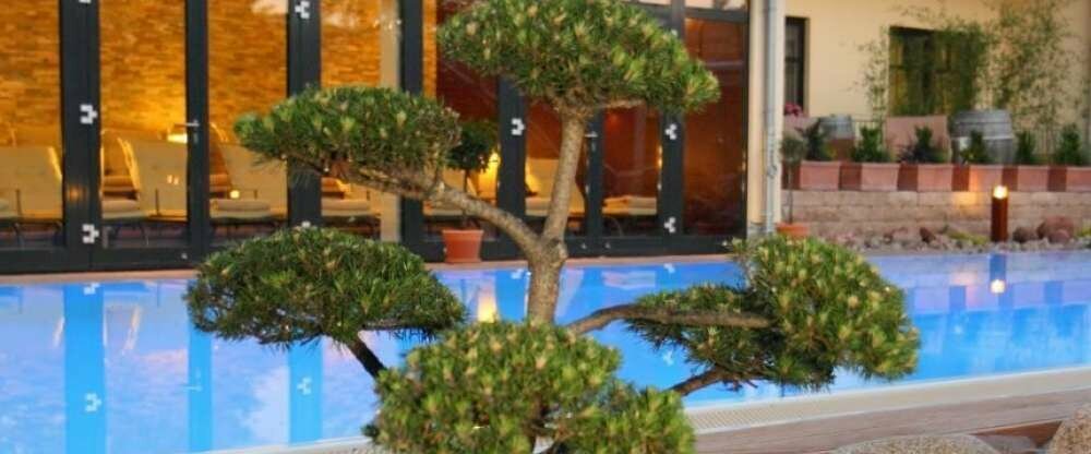 Ringhotel Zum Stein - Wellnessbereich