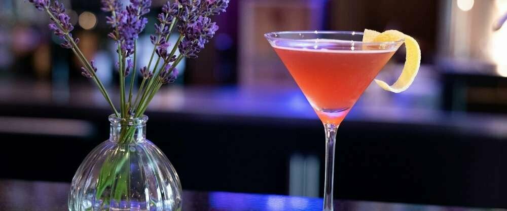 Robenstein Hotel & SPA - Bar/Disco