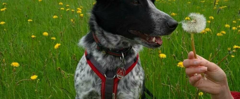 Robenstein Hotel & SPA - Sonstiges