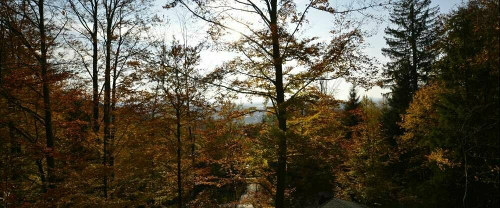 Robenstein Hotel & SPA - Wellnessbereich