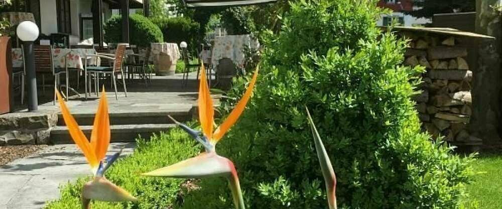 Rössle - Terrasse/Außenbereich