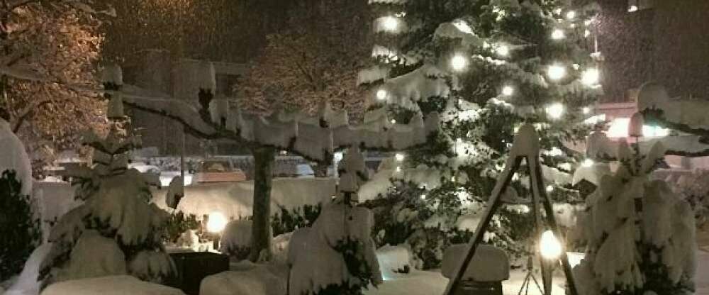 Rössle - Terrasse/Außenbereich