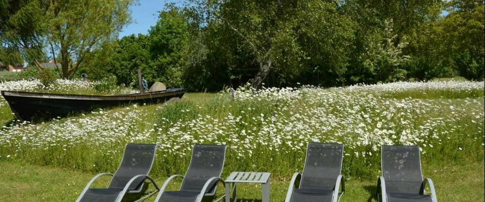 Rohrhus-Reethäuser Rügen - Terrasse/Außenbereich