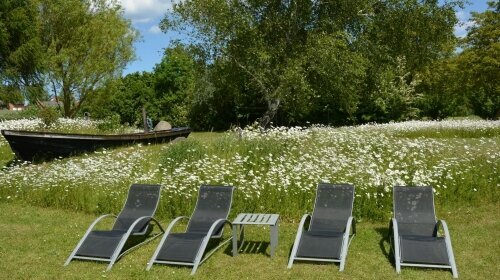 Rohrhus-Reethäuser Rügen  - Terrasse/Außenbereich