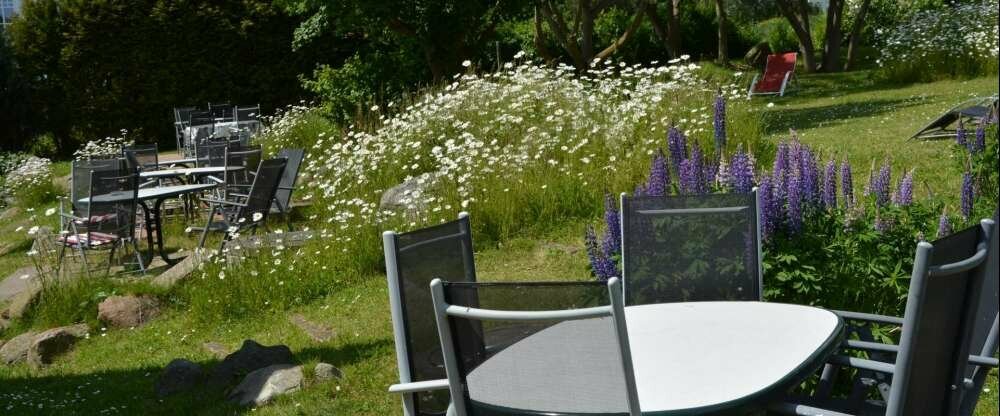 Rohrhus-Reethäuser Rügen - Terrasse/Außenbereich