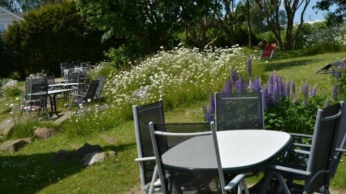 Rohrhus-Reethäuser Rügen  - Terrasse/Außenbereich