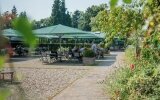 Romantik Hotel Reichshof - Terrasse/Außenbereich