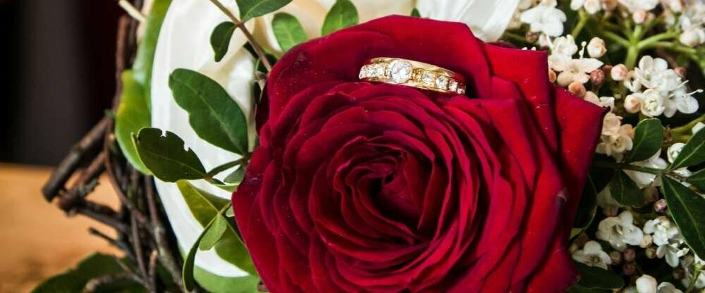Romantische Rosentage
