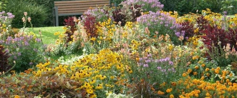 Saline 1822, Hotel Bad Rappenau - Umgebung