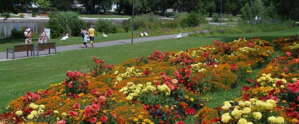 Saline 1822, Hotel Bad Rappenau - Umgebung