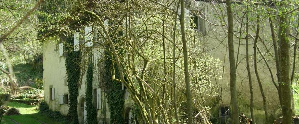 Saline 1822, Hotel Bad Rappenau - Umgebung