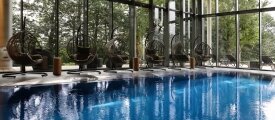 Salzwasserpool mit Gegenstromanlage, Quelle: Berghotel Oberhof
