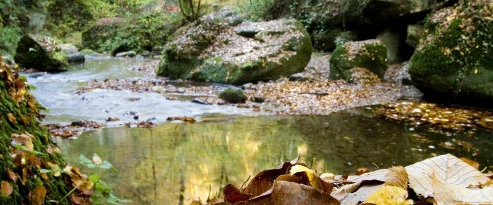 Von der Terrasse haben Sie einen direkten Blick auf die Sauer.