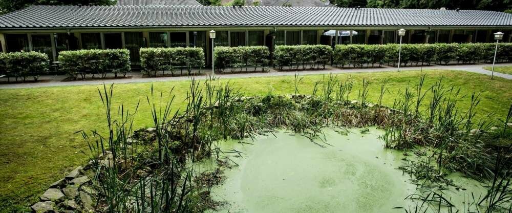 Unser grüner Saunagarten