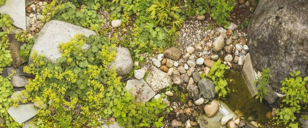 Schäfergarten mit Biotop