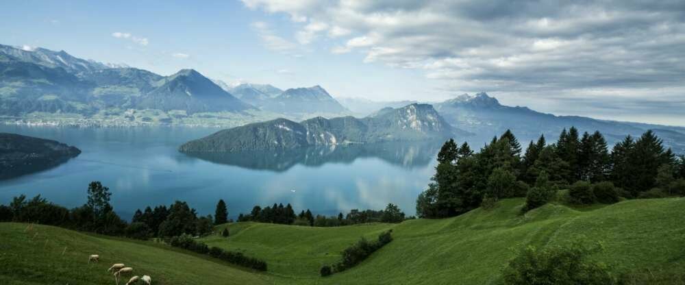 Schloss-Hotel Merlischachen - Hotel-Umgebung