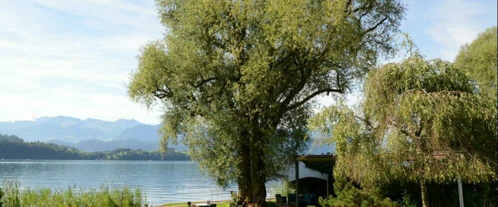 Schloss-Hotel Merlischachen - Hotel-Umgebung