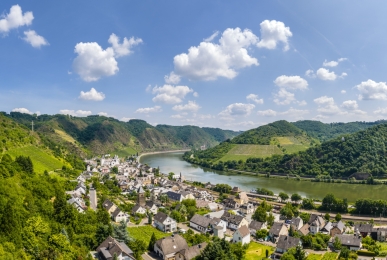Array, Quelle: Schloß-Hotel Petry