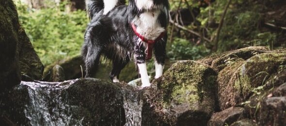 Schloss Krugsdorf Golf & Hotel - Hotel-Außenansicht, Quelle: Schloss Krugsdorf Golf & Hotel