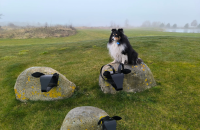 Schloss Krugsdorf Golf & Hotel - Hotel-Außenansicht