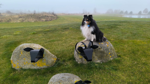 Schloss Krugsdorf Golf & Hotel - Hotel-Außenansicht