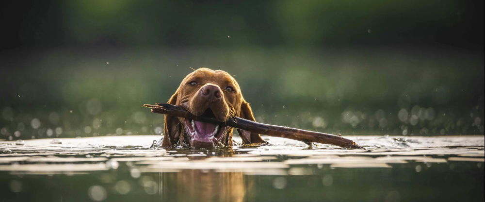 Schloss Krugsdorf Golf & Hotel - Hotel-Außenansicht